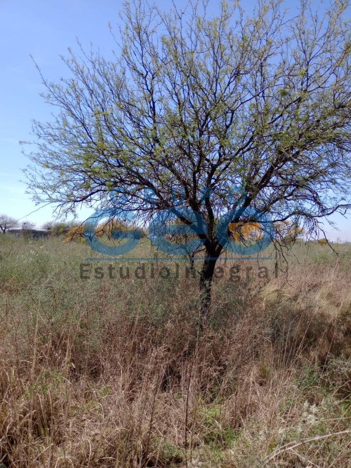 OPORTUNIDAD!!!!!!!!!GRUPO GEO VENDE TERRENOS EN VILLA DEL PRADO, CORDOBA